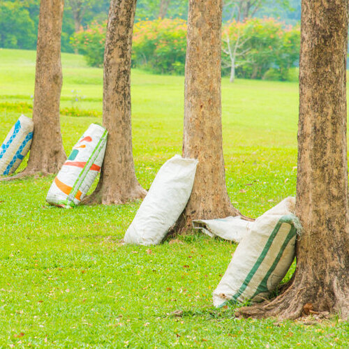 Trees With Fertilizer