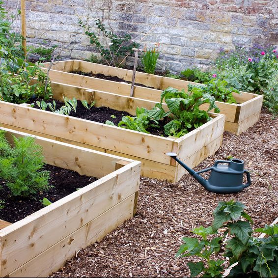 mulched garden