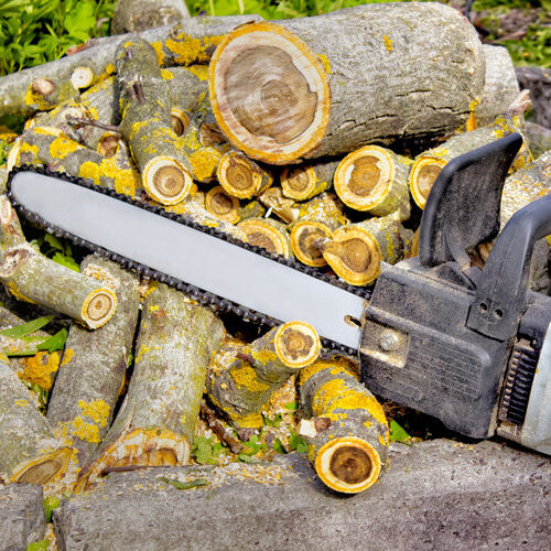 Chainsaw laying on a pile of logs.
