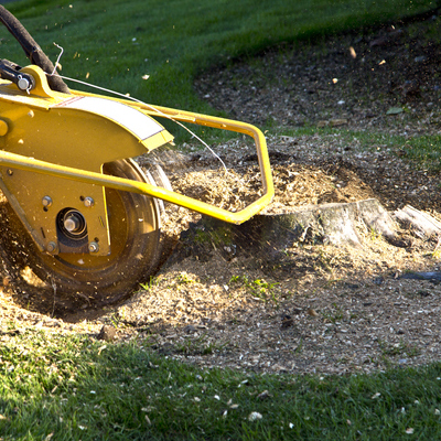 A Tree Stump Removal