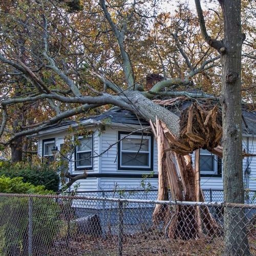 A Picture of a Tree That Fell On a House.