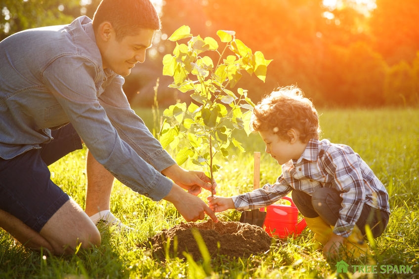 Boy & Father Planting a Tree 