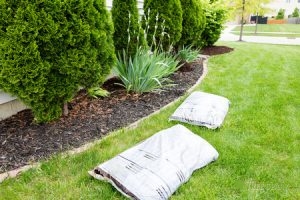 Mulch in Yard