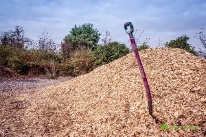 Tree Mulching Services