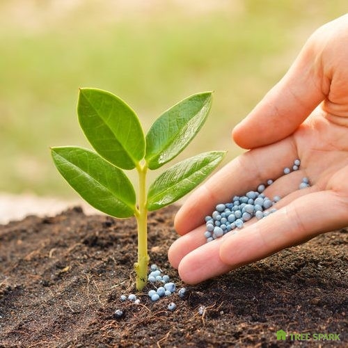 Hand giving pellet fertilizer to growing tree sprout.