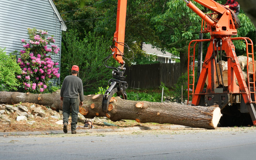 24/7 Emergency Tree Service